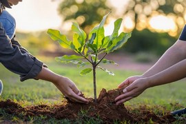 csr-project